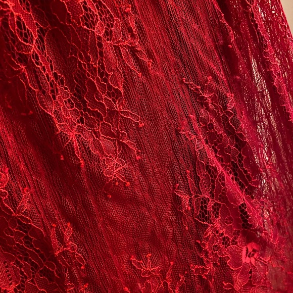 Express Lace Fit & Flare Dress - Picture 7 of 9